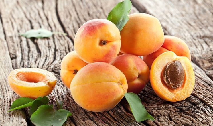 Найприбутковіша – абрикоса, але за 10 років вимерзала 5 разів