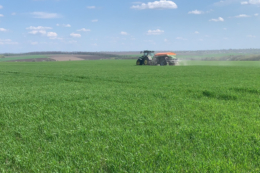 В Україні спостерігається значний дефіцит аміачної селітри 