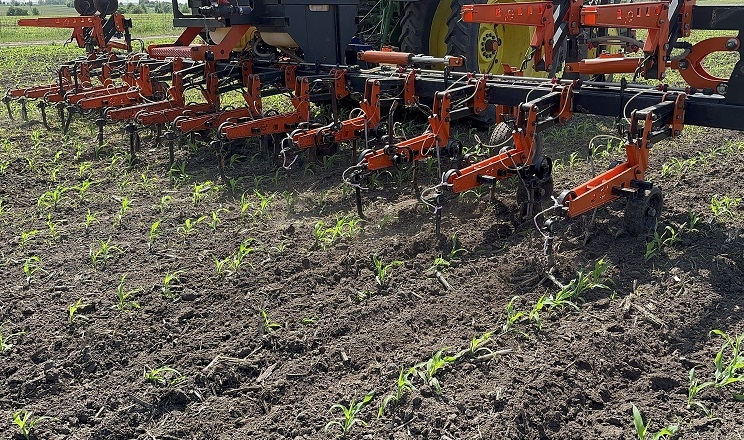 Міжрядний обробіток допомагає в боротьбі з розтріскуванням ґрунту в посушливих умовах – досвід