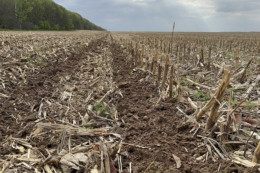 Завдяки переходу на strip-till у ФГ «Олгрис» на Житомирщині знизили собіварість продукції