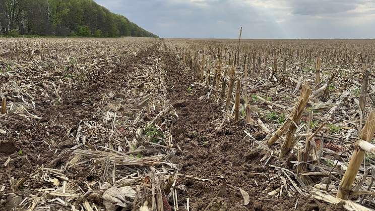Завдяки переходу на strip-till у ФГ «Олгрис» на Житомирщині знизили собіварість продукції