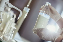 Україна ініціює відновлення ветконтролю на молочну продукцію з Польщі