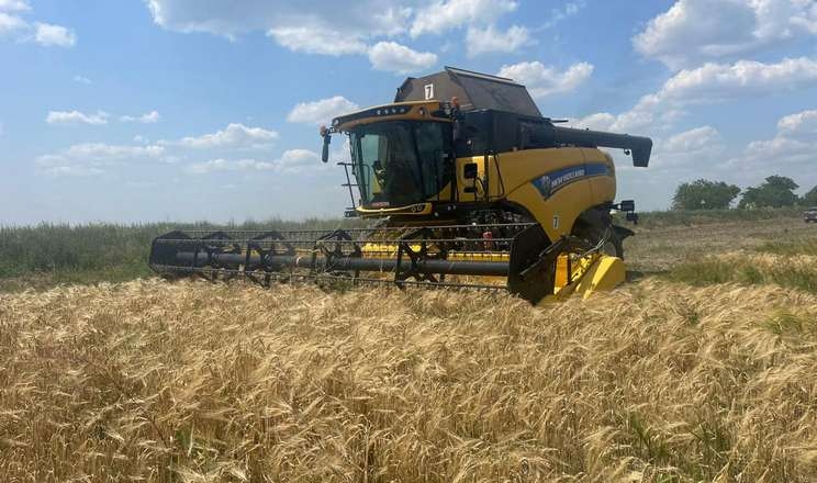 Урожайність ранніх зернових на Полтавщині істотно перевищує минулорічну