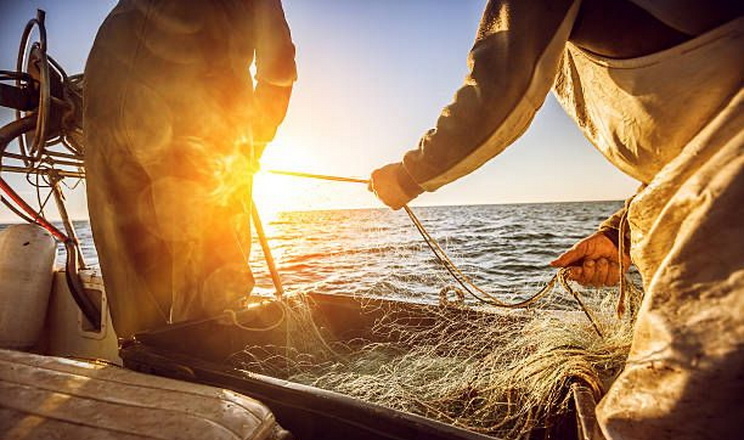 Україна приєдналась до угоди про обмеження субсидій в галузі рибальства