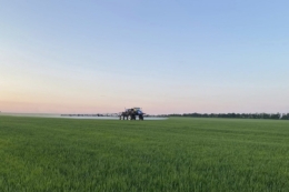 Частку генериків у системі захисту рослин збільшили в господарстві на Херсонщині