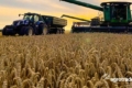 Жнива озимої пшениці розпочали в «Агротрейд» на деокупованих полях Харківщини