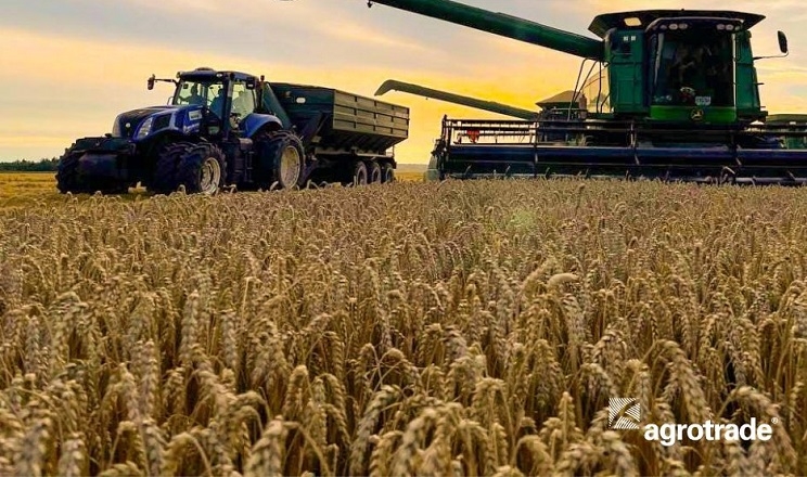 Жнива озимої пшениці розпочали в «Агротрейд» на деокупованих полях Харківщини