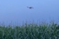 Досвідом обприскування кукурудзи дронами поділилися в «ТАС Агро Захід»