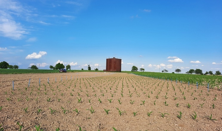 Corteva Agriscience розширила програму польових досліджень