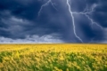 Погода в Україні: дощі з грозами в частині регіонів