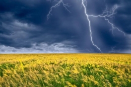 У найближчу добу очікуються дощі та грози у західних областях та на Житомирщині
