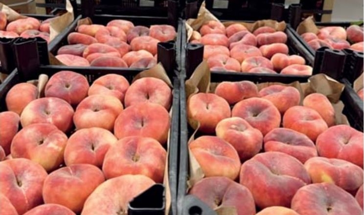 Експорт персиків і нектаринів з Туреччини значно зріс