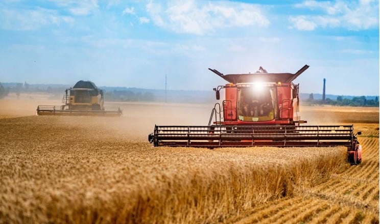 Урожайність ранніх зернових на Донеччині на старті жнив поступається минулорічній