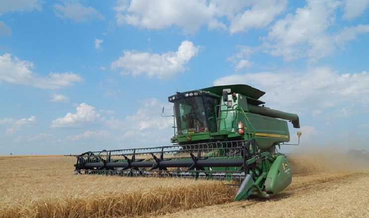 Валовий збір зерна нового врожаю майже досягнув 6 млн тонн