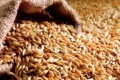 Індія спростила процедуру експорту українського зерна