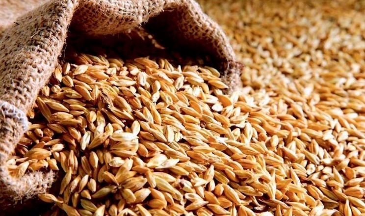 Індія спростила процедуру експорту українського зерна