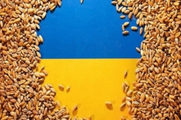 Україна експортувала майже 13 млн тонн зерна
