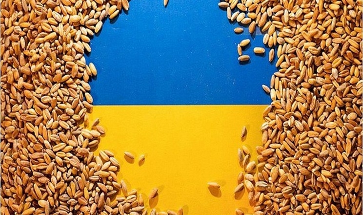Україна експортувала майже 13 млн тонн зерна