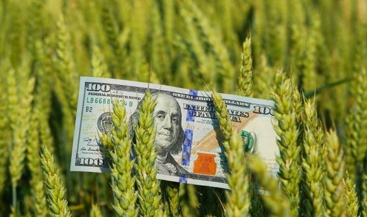 USAID виділяє ₴1 млн на кредитування аграріїв під гарантії страхування майбутнього врожаю