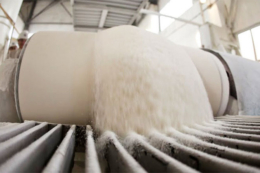 Українські заводи виготовлять 1,6-1,7 млн. тонн цукру