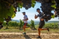 Закарпатські винороби влаштовують забіг виноградниками