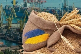 93% української агропродукції експортується через порти Великої Одеси та Дунаю