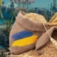 Україна експортувала понад 29,1 млн тонн зерна