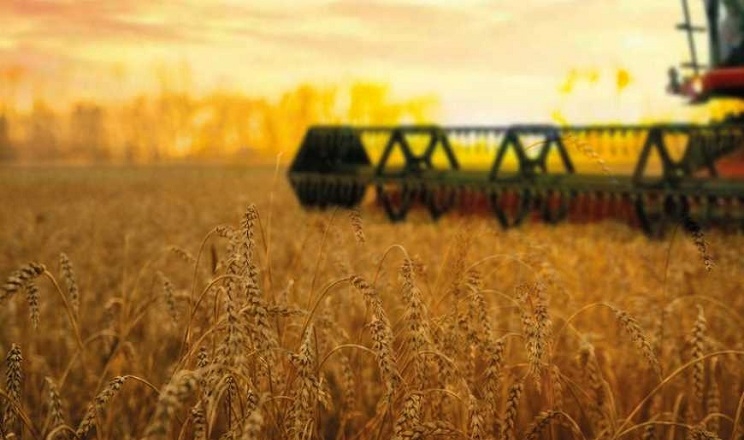 Українські аграрії намолотили 35,2 млн тонн зерна нового врожаю