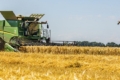 Тернопільщина лідирує за врожайністю ранніх зернових