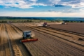 «Укрпромінвест-Агро» завершив збір озимої пшениці з рекордною врожайністю