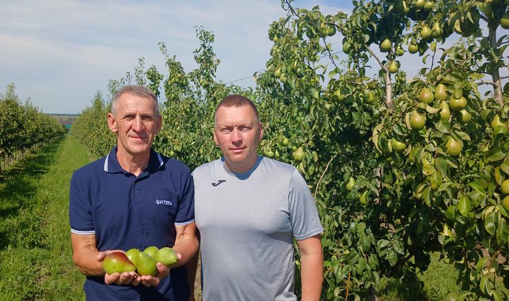 Осінь – час подбати про фосфорне живлення саду