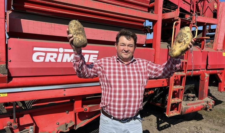 Чернігівський фермер показав величезну картоплю вітчизняної селекції