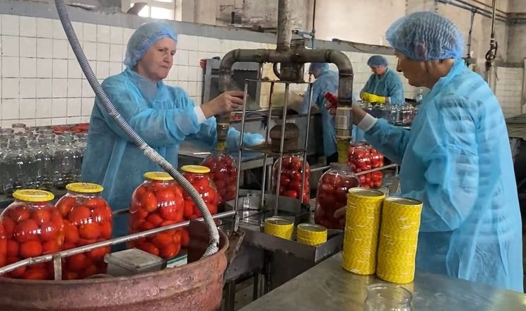 У деокупованому селі на Півдні відновив роботу консервний завод