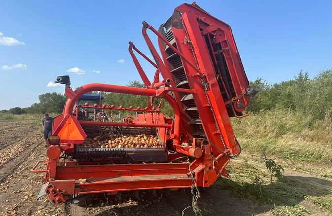 Миколаївський агрохолдинг механізує вирощування овочів