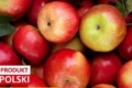 Польські садівники очікують менший урожай яблук