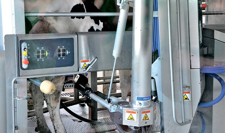 Роботизована ферма розв’язує проблеми якості молока та кадрів