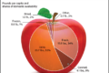 Більше половини яблук американці споживають у виді соку