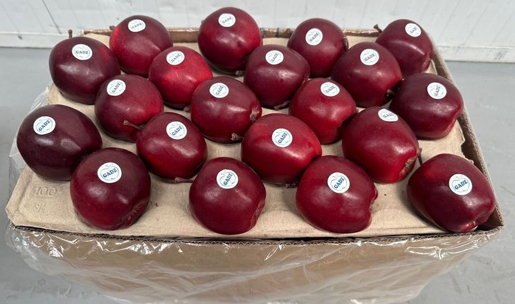 Найбільший вітчизняний виробник яблук розпочав експортний сезон