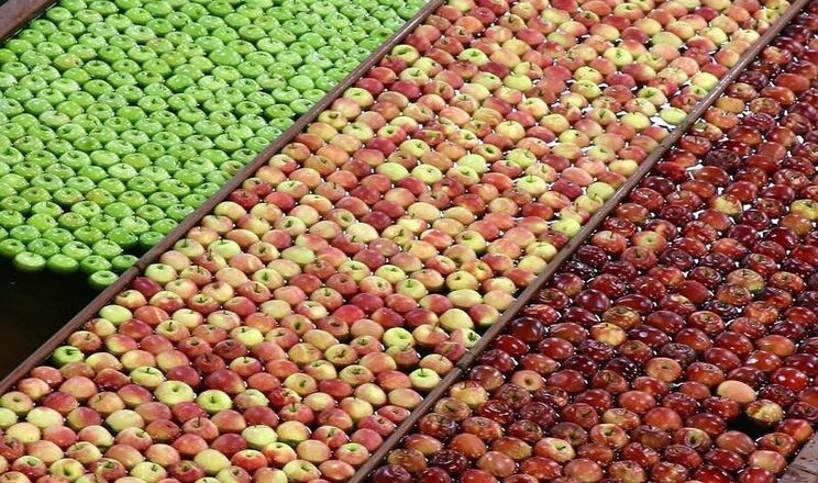 У Франції очікують гарний урожай яблук після трьох років дефіциту
