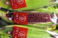 Червона солодка кукурудза потрапила в японські соцмережі