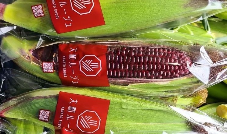 Червона солодка кукурудза потрапила в японські соцмережі