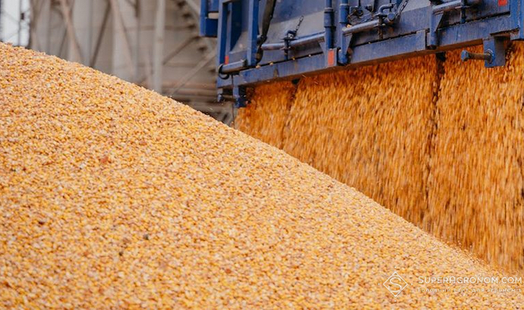 Подальше зростання цін на кукурудзу обмежить зниження світових котирувань