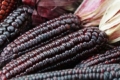 Вчені досліджують вплив фіолетової кукурудзи на здоров’я