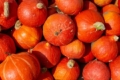 Фермерка поділилася досвідом продажів овочів у соцмережах та супермаркетах