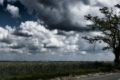 Погода в Україні: мінлива хмарність, майже без опадів