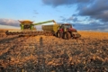 Урожайність кукурудзи в «Агротрейд» істотно перевищує планову