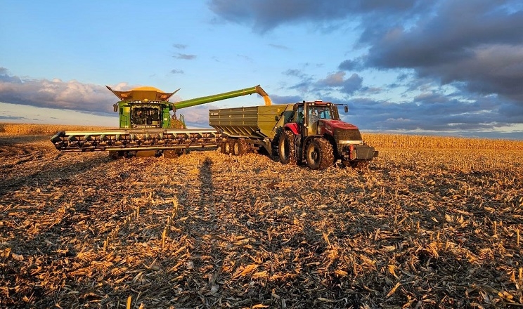 Урожайність кукурудзи в «Агротрейд» істотно перевищує планову