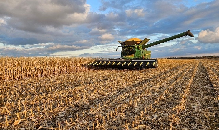 Валовий збір зерна в «Агротрейд» у 2023 році  – понад 255 тис. тонн