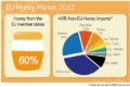 Україна посіла друге місце серед експортерів меду до ЄС