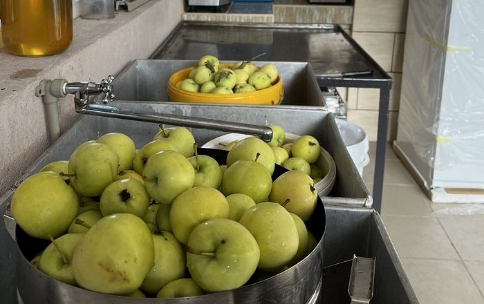 На Полтавщині відкрили мініцех з переробки фруктів, ягід та овочів